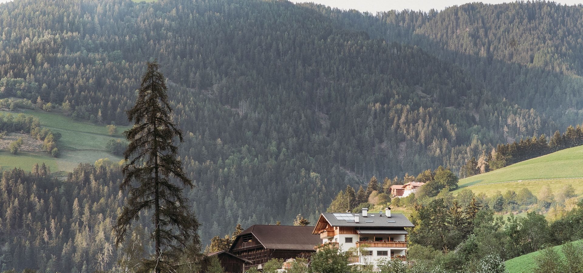 Verbringen Sie den Sommer auf der Lüsner Alm