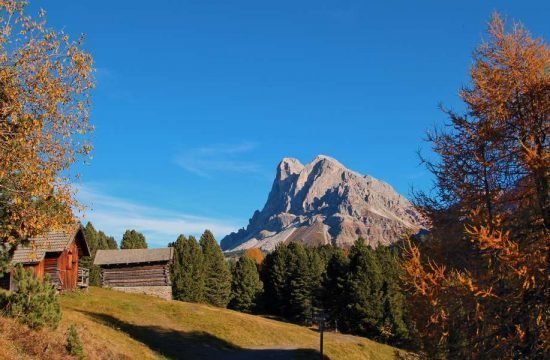 grosskarneiderhof-luesen-suedtirol (16)