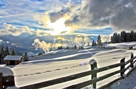 grosskarneiderhof-luesen-suedtirol (19)