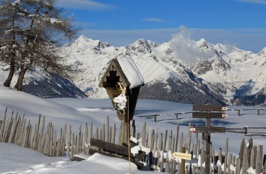 grosskarneiderhof-luesen-suedtirol (20)