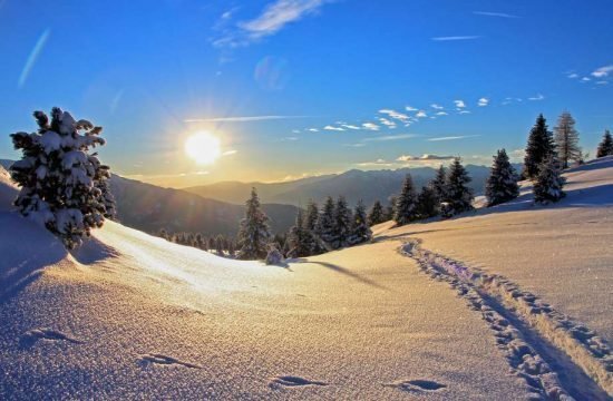 grosskarneiderhof-luesen-suedtirol (25)