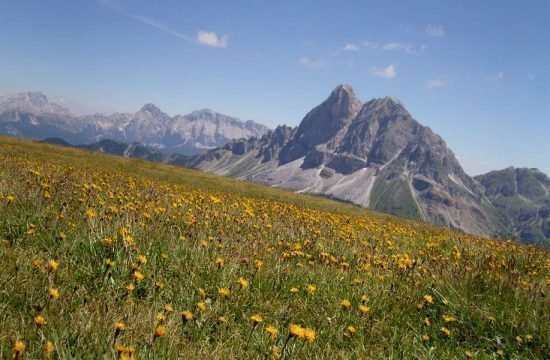 grosskarneiderhof-luesen-suedtirol