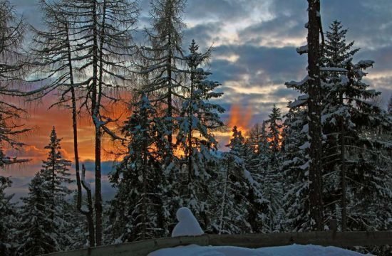 grosskarneiderhof-luesen-suedtirol (28)