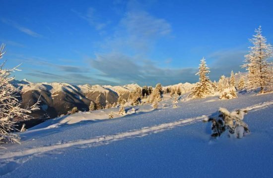 grosskarneiderhof-luesen-suedtirol (30)