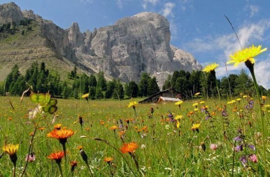 grosskarneiderhof-luesen-suedtirol (8)