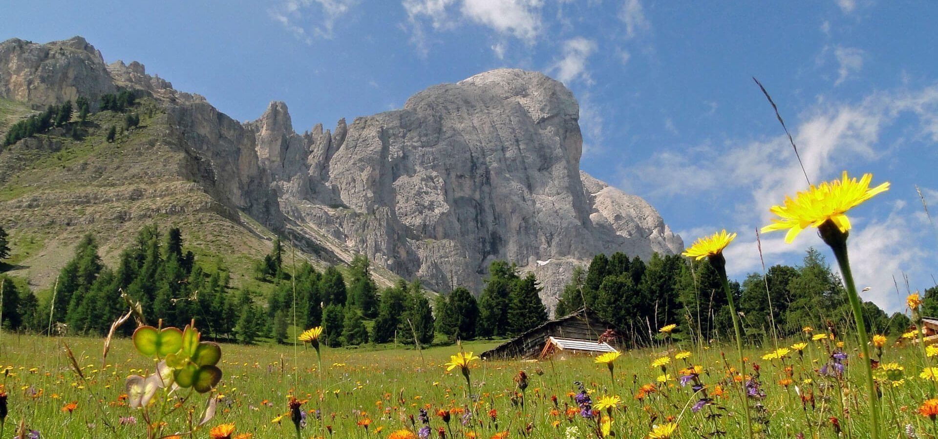 Verbringen Sie den Sommer auf der Lüsner Alm