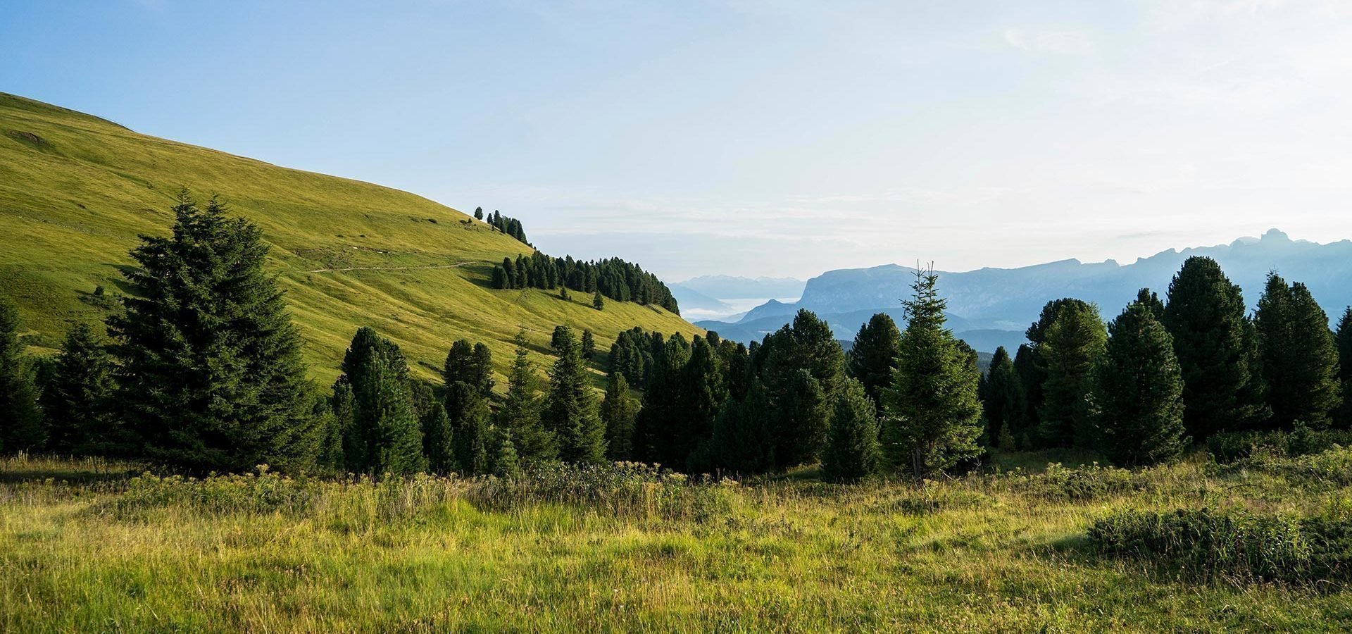 Urlaub auf dem Bauernhof in Lüsen/Südtirol am Grosskarneid-Hof