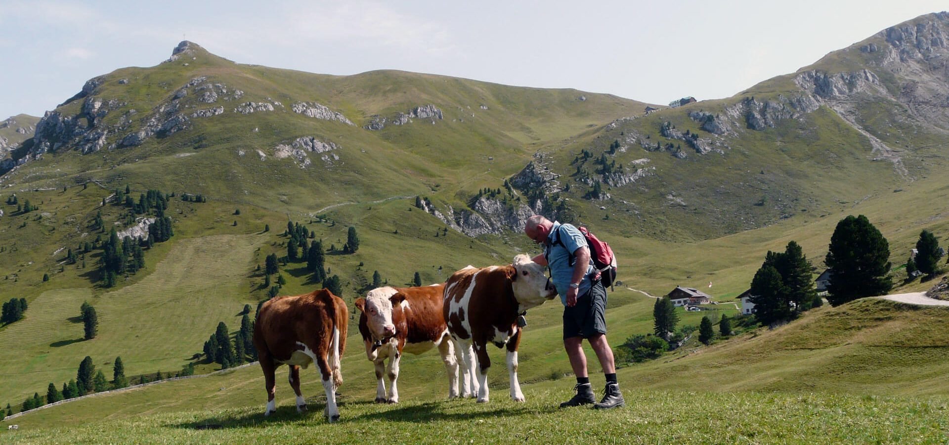 Verbringen Sie den Sommer auf der Lüsner Alm